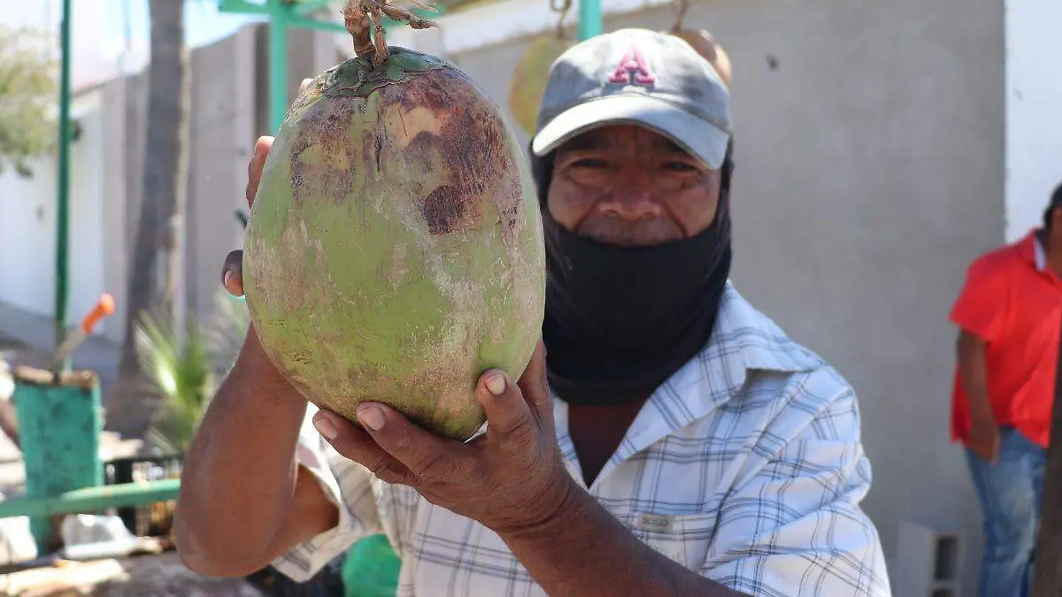 Cocos en Bahía de Kino 3